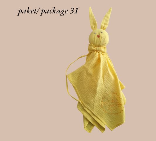 Paket 31